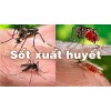 Chăm sóc bệnh nhi sốt xuất huyết cần phải thận trọng
